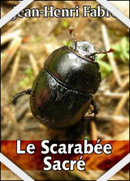 J.H. Fabre Le scarabe sacr