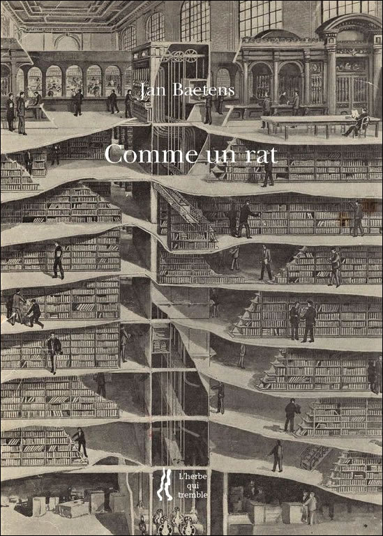 Comme un rat, de Jan Baetens